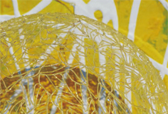 MARIKO HAYASHI × KAARA 二人展　-ひらかれた窓のある部屋-
