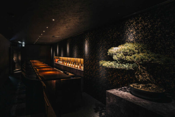 毚 zan BAMBOO MEDIA